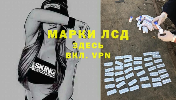 a pvp Бородино